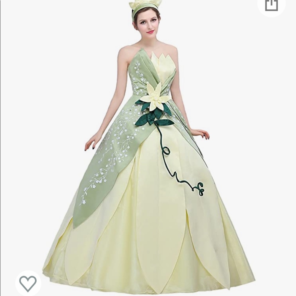 Princess Tiana Costume